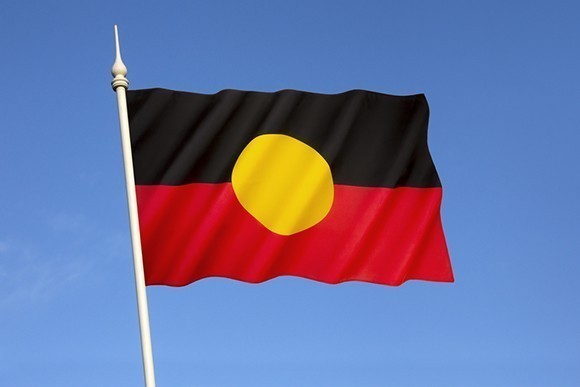 Indigenous Flag