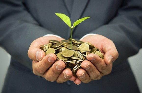 Tree growing from money