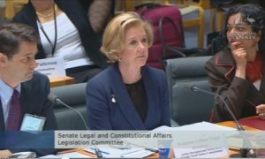 triggs at senate hearing