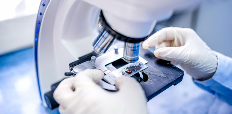 Researcher looking through a microscope