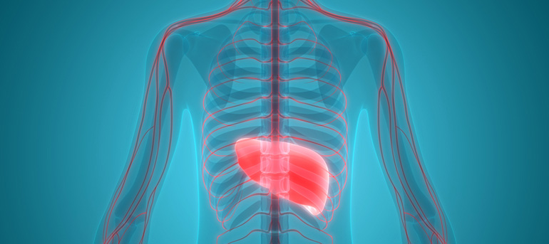 liver hepatitis