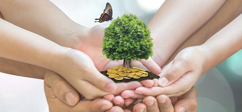 hands together holding money tree