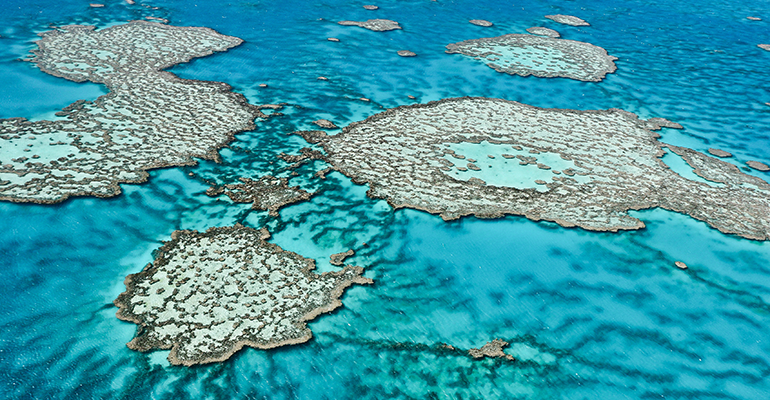 Great Barrier Reef