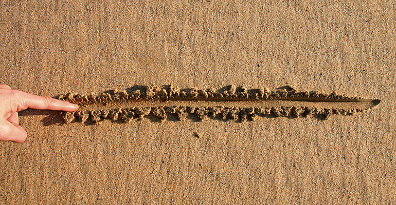 line in the sand