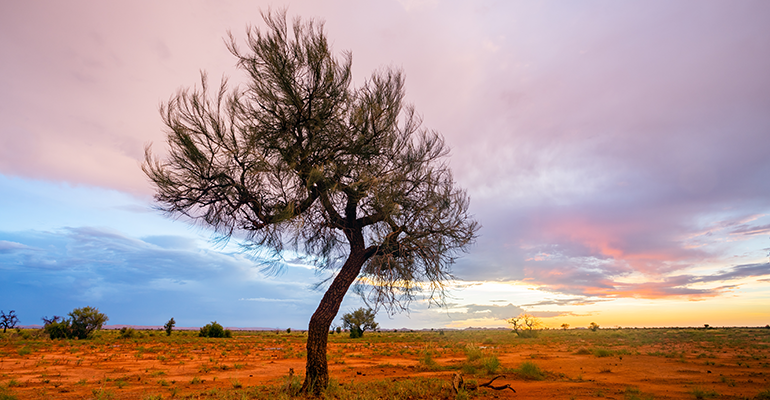 Remote Australia