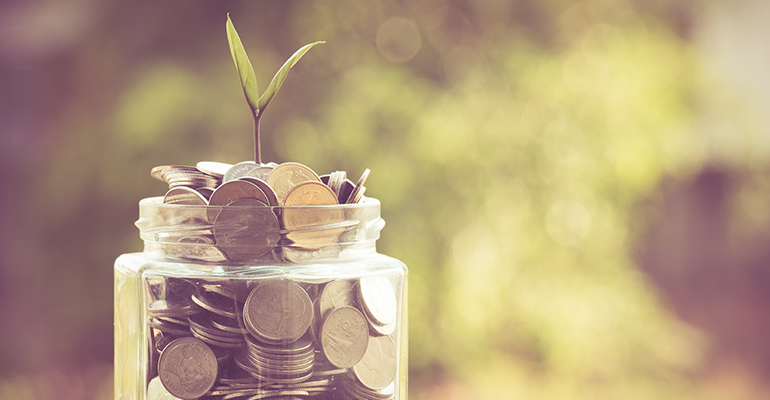 jar of money with plant