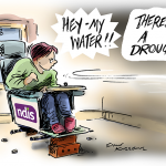 Kneebone NDIS cartoon