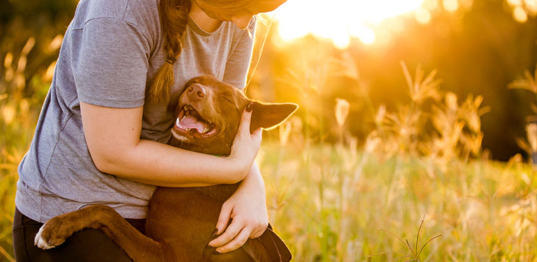 woman hugging a dog