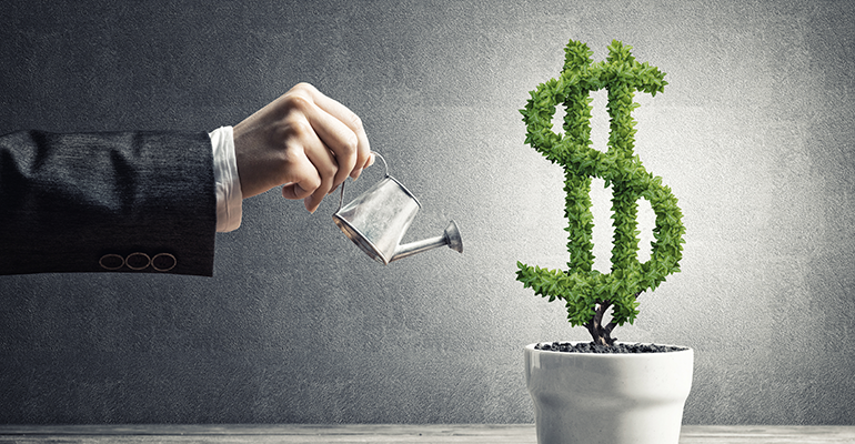 person watering green money