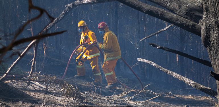 firefighters tackling bushfire