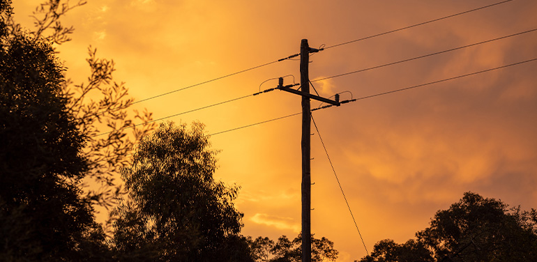 post and trees against orange sky