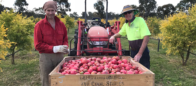 two farmers with a tractor of apples