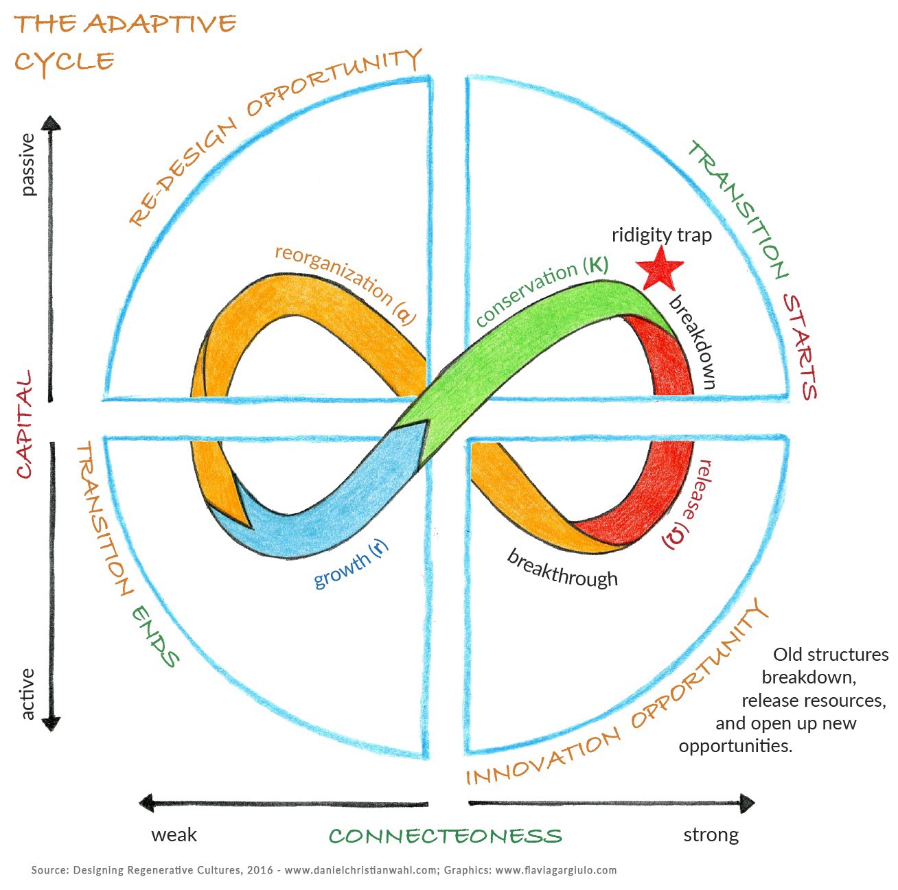 Graph showing the adaptive cycle