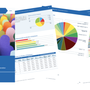 Salary Survey report