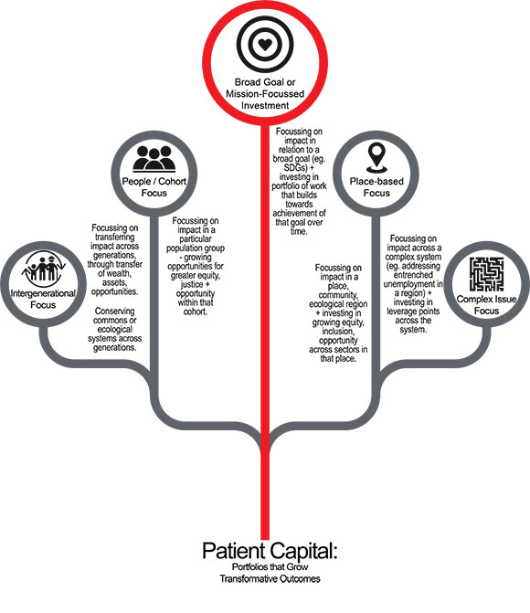 Figure 2: Examples of portfolios or ecosystems of investment that could grow transformative outcomes