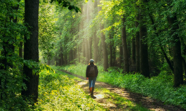 woman walking in a forest, with her back to the camera