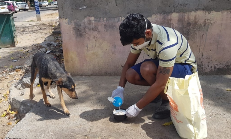 Man feeding dog