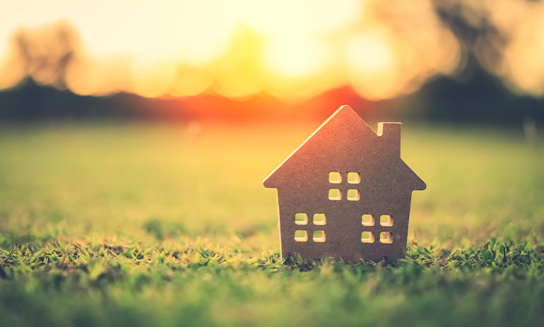 cardboard house on grass