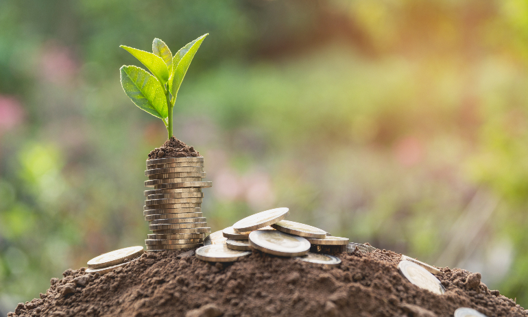 Young green plant with stack of coins on ground for growing business.