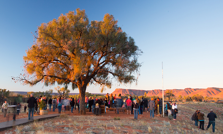 people standing around tree