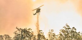 A guide to giving to support WA bushfire recovery
