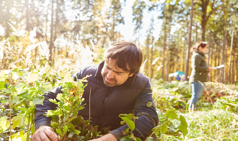 Two people work on a sustainable climate project