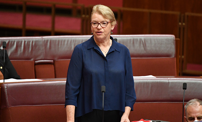 Senator Janet Rice in the Senate