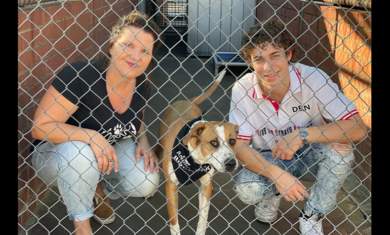 WA Senate candidate Amanda Dorn, from the Animal Justice Party WA, pictured with Morris, and Sox who is looking for a home and a family - woman and man crouching with dog in between behind a wire fence